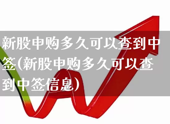 新股申购多久可以查到中签(新股申购多久可以查到中签信息)_https://www.wanyuyiyao.com_上交所_第1张