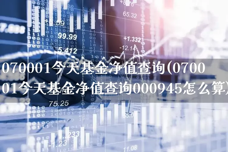 070001今天基金净值查询(070001今天基金净值查询000945怎么算)_https://www.wanyuyiyao.com_深交所_第1张