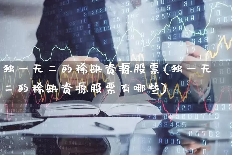 独一无二的稀缺资源股票(独一无二的稀缺资源股票有哪些)_https://www.wanyuyiyao.com_科创板_第1张