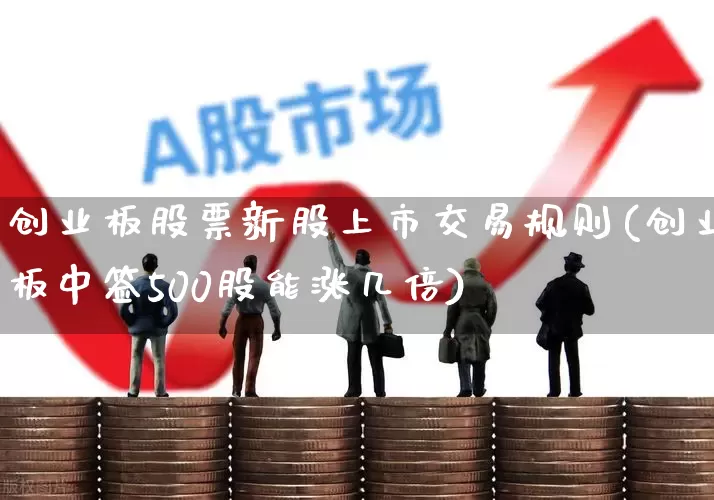 创业板股票新股上市交易规则(创业板中签500股能涨几倍)_https://www.wanyuyiyao.com_创业板_第1张