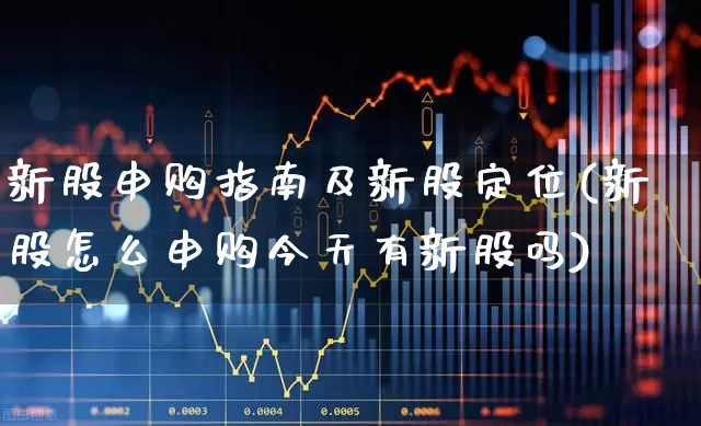 新股申购指南及新股定位(新股怎么申购今天有新股吗)_https://www.wanyuyiyao.com_创业板_第1张