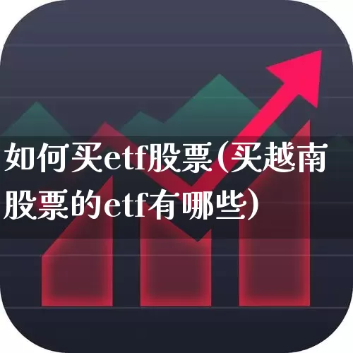 如何买etf股票(买越南股票的etf有哪些)_https://www.wanyuyiyao.com_上交所_第1张