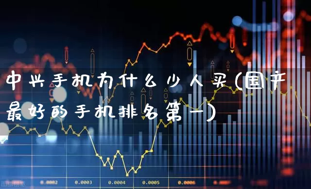 中兴手机为什么少人买(国产最好的手机排名第一)_https://www.wanyuyiyao.com_上交所_第1张