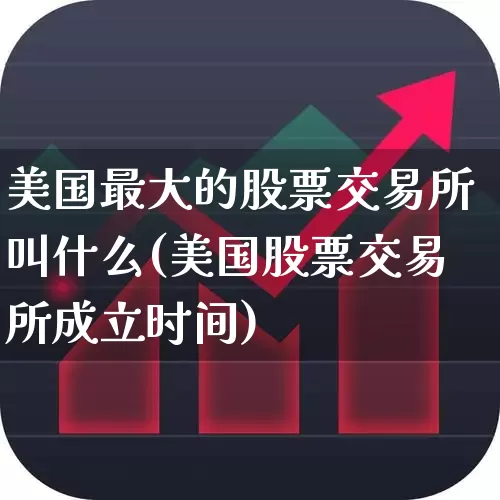 美国最大的股票交易所叫什么(美国股票交易所成立时间)_https://www.wanyuyiyao.com_科创板_第1张