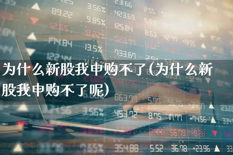 为什么新股我申购不了(为什么新股我申购不了呢)_https://www.wanyuyiyao.com_科创板_第1张
