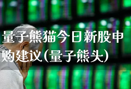 量子熊猫今日新股申购建议(量子熊头)_https://www.wanyuyiyao.com_科创板_第1张