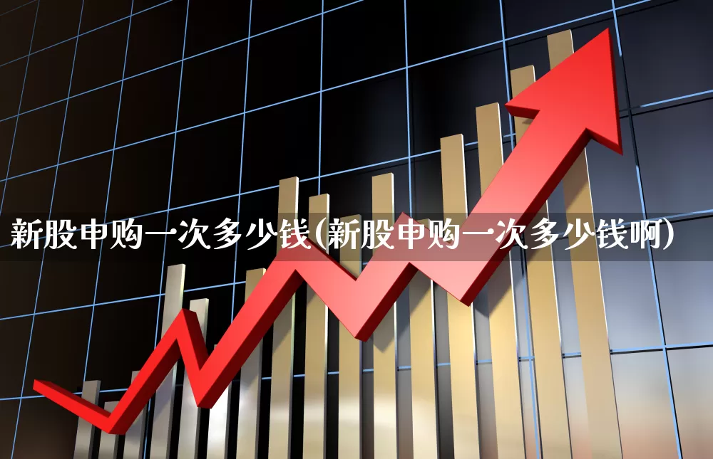 新股申购一次多少钱(新股申购一次多少钱啊)_https://www.wanyuyiyao.com_上交所_第1张