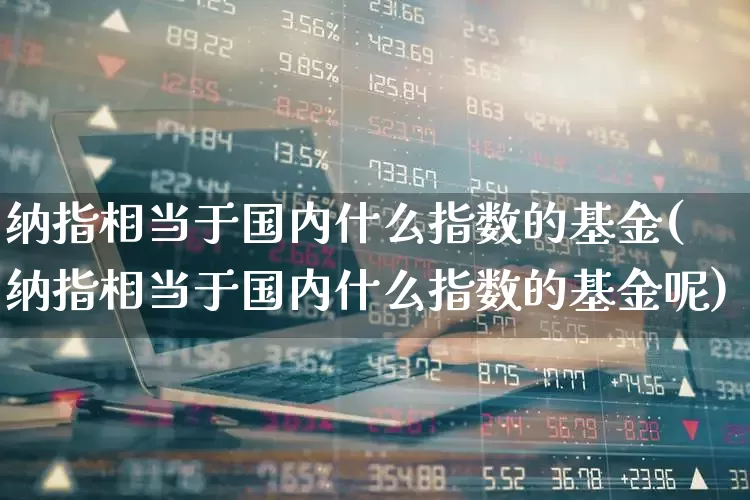 纳指相当于国内什么指数的基金(纳指相当于国内什么指数的基金呢)_https://www.wanyuyiyao.com_创业板_第1张