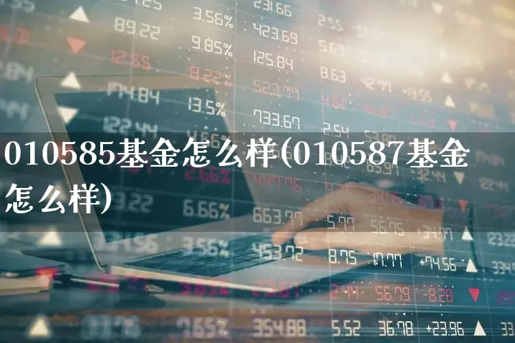 010585基金怎么样(010587基金怎么样)_https://www.wanyuyiyao.com_科创板_第1张