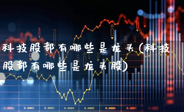 科技股都有哪些是龙头(科技股都有哪些是龙头股)_https://www.wanyuyiyao.com_创业板_第1张