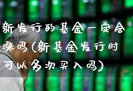 新发行的基金一定会涨吗(新基金发行时可以多次买入吗)_https://www.wanyuyiyao.com_深交所_第1张