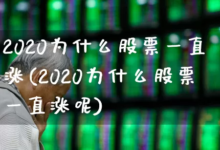 2020为什么股票一直涨(2020为什么股票一直涨呢)_https://www.wanyuyiyao.com_科创板_第1张