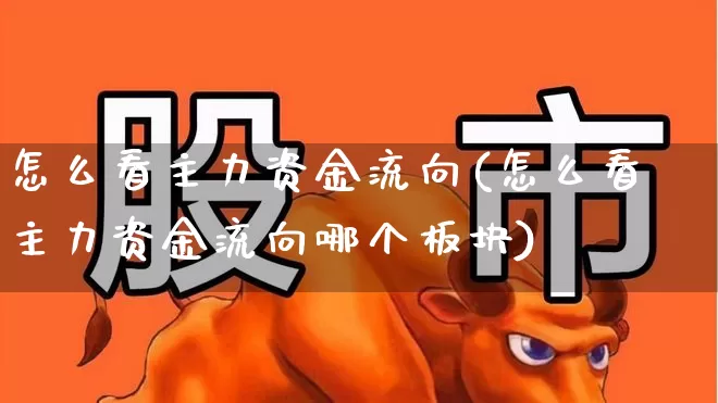 怎么看主力资金流向(怎么看主力资金流向哪个板块)_https://www.wanyuyiyao.com_北交所_第1张