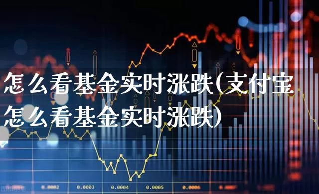怎么看基金实时涨跌(支付宝怎么看基金实时涨跌)_https://www.wanyuyiyao.com_上交所_第1张