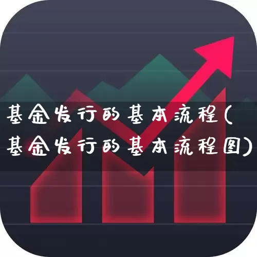基金发行的基本流程(基金发行的基本流程图)_https://www.wanyuyiyao.com_深交所_第1张