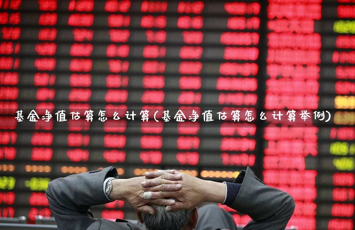 基金净值估算怎么计算(基金净值估算怎么计算举例)_https://www.wanyuyiyao.com_上交所_第1张