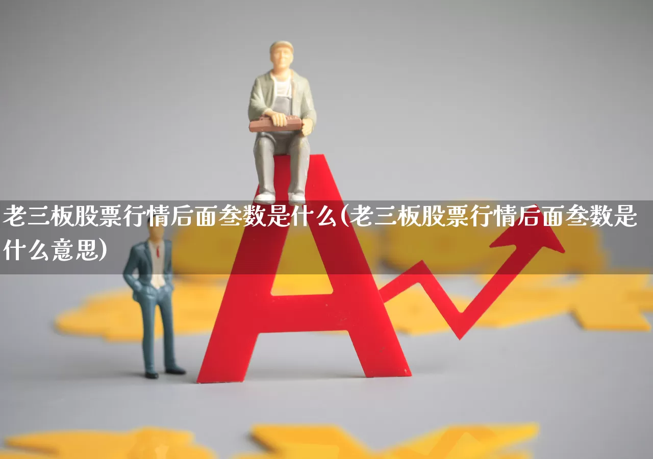 老三板股票行情后面叁数是什么(老三板股票行情后面叁数是什么意思)_https://www.wanyuyiyao.com_科创板_第1张