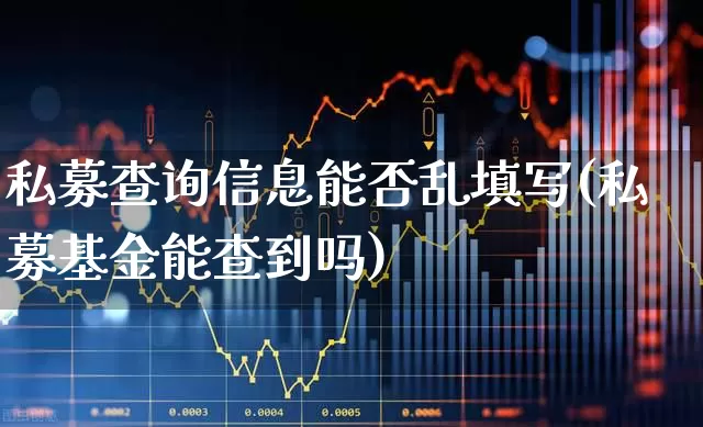 私募查询信息能否乱填写(私募基金能查到吗)_https://www.wanyuyiyao.com_上交所_第1张