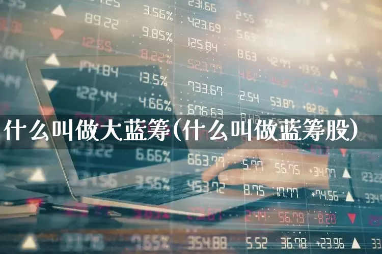 什么叫做大蓝筹(什么叫做蓝筹股)_https://www.wanyuyiyao.com_创业板_第1张