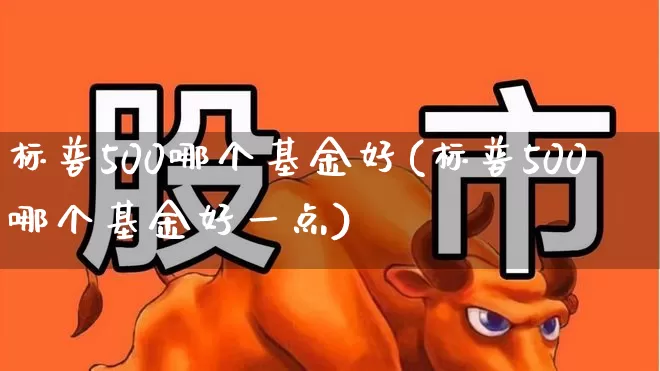标普500哪个基金好(标普500哪个基金好一点)_https://www.wanyuyiyao.com_上交所_第1张