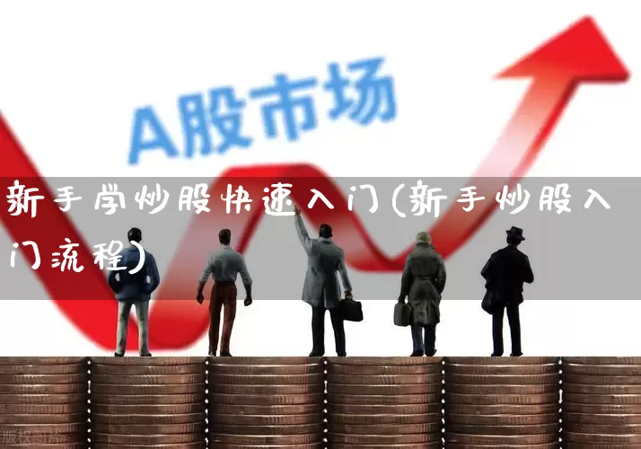 新手学炒股快速入门(新手炒股入门流程)_https://www.wanyuyiyao.com_创业板_第1张