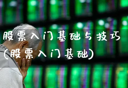 股票入门基础与技巧(股票入门基础)_https://www.wanyuyiyao.com_科创板_第1张