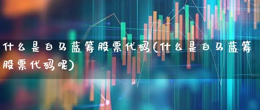 什么是白马蓝筹股票代码(什么是白马蓝筹股票代码呢)_https://www.wanyuyiyao.com_北交所_第1张