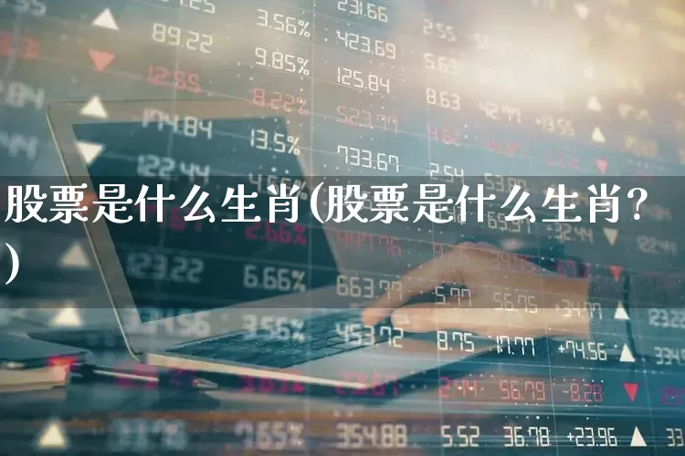 股票是什么生肖(股票是什么生肖?)_https://www.wanyuyiyao.com_上交所_第1张