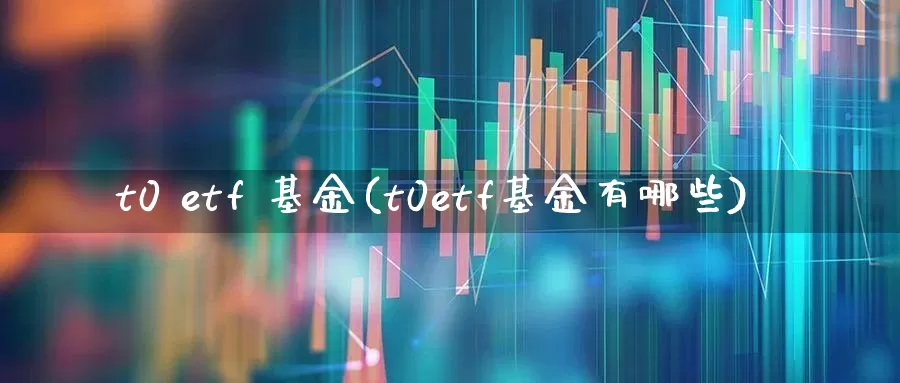 t0 etf 基金(t0etf基金有哪些)_https://www.wanyuyiyao.com_上交所_第1张