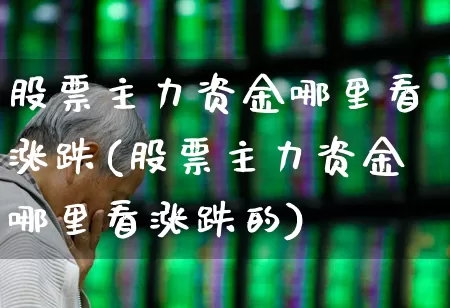 股票主力资金哪里看涨跌(股票主力资金哪里看涨跌的)_https://www.wanyuyiyao.com_深交所_第1张