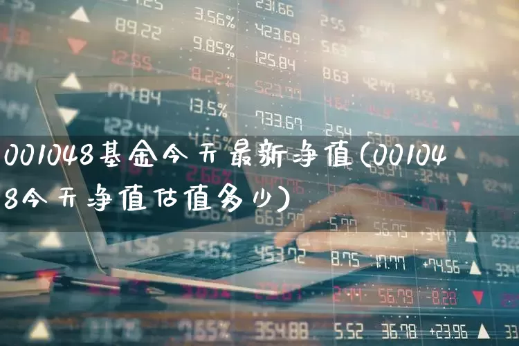 001048基金今天最新净值(001048今天净值估值多少)_https://www.wanyuyiyao.com_上交所_第1张