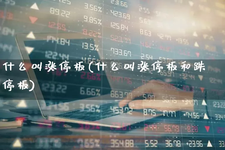 什么叫涨停板(什么叫涨停板和跌停板)_https://www.wanyuyiyao.com_上交所_第1张