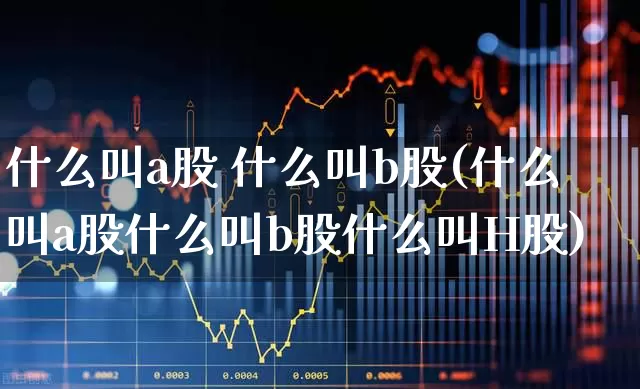 什么叫a股 什么叫b股(什么叫a股什么叫b股什么叫H股)_https://www.wanyuyiyao.com_上交所_第1张