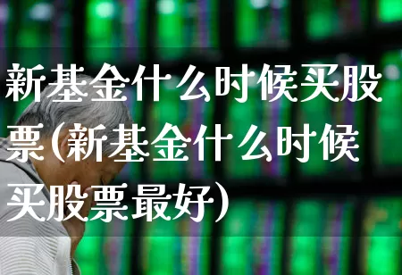 新基金什么时候买股票(新基金什么时候买股票最好)_https://www.wanyuyiyao.com_上交所_第1张