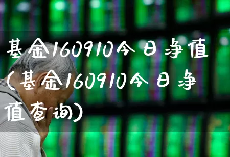 基金160910今日净值(基金160910今日净值查询)_https://www.wanyuyiyao.com_深交所_第1张
