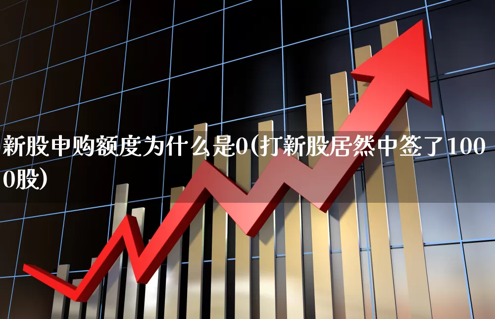 新股申购额度为什么是0(打新股居然中签了1000股)_https://www.wanyuyiyao.com_北交所_第1张