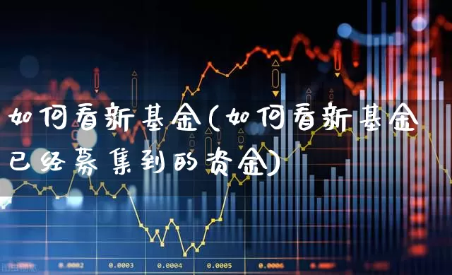 如何看新基金(如何看新基金已经募集到的资金)_https://www.wanyuyiyao.com_创业板_第1张