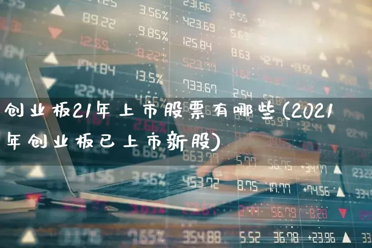 创业板21年上市股票有哪些(2021年创业板已上市新股)_https://www.wanyuyiyao.com_上交所_第1张