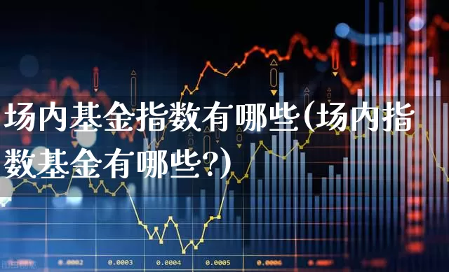 场内基金指数有哪些(场内指数基金有哪些?)_https://www.wanyuyiyao.com_北交所_第1张