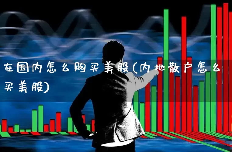 在国内怎么购买美股(内地散户怎么买美股)_https://www.wanyuyiyao.com_创业板_第1张