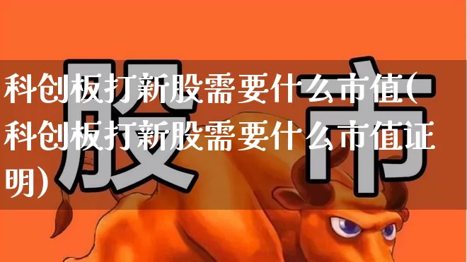科创板打新股需要什么市值(科创板打新股需要什么市值证明)_https://www.wanyuyiyao.com_北交所_第1张