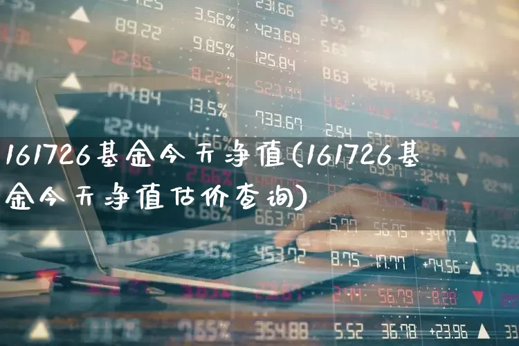 161726基金今天净值(161726基金今天净值估价查询)_https://www.wanyuyiyao.com_上交所_第1张