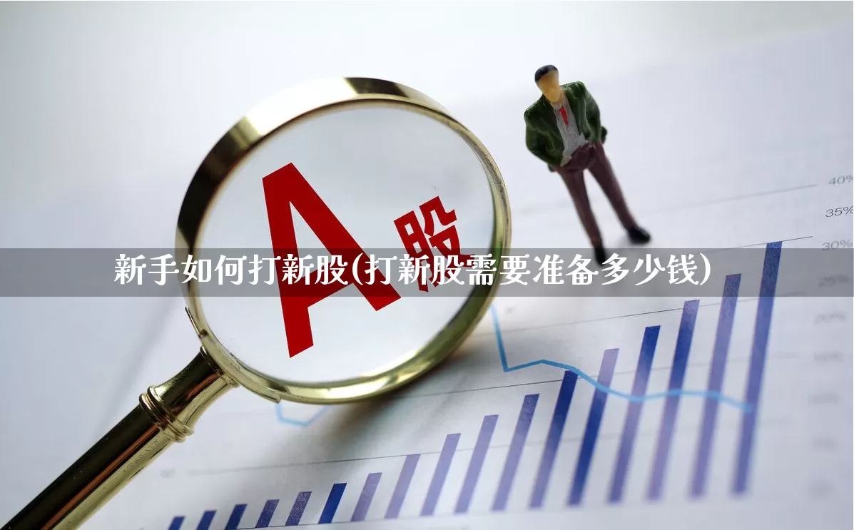 新手如何打新股(打新股需要准备多少钱)_https://www.wanyuyiyao.com_北交所_第1张