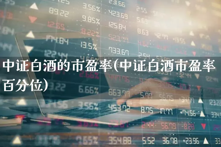 中证白酒的市盈率(中证白酒市盈率百分位)_https://www.wanyuyiyao.com_北交所_第1张