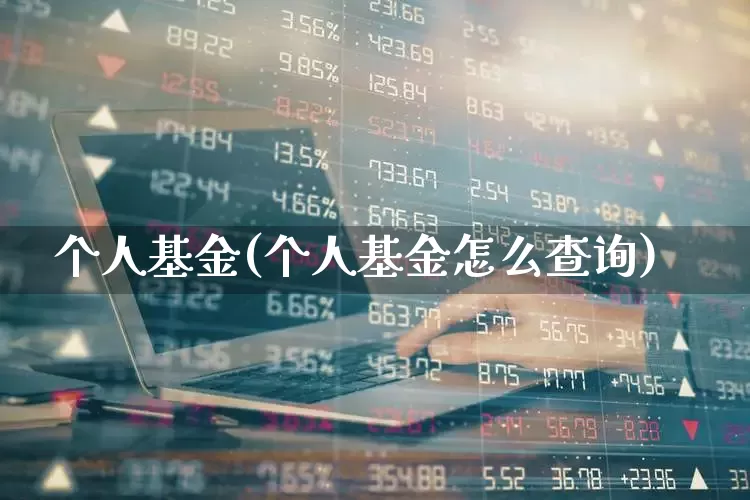 个人基金(个人基金怎么查询)_https://www.wanyuyiyao.com_创业板_第1张