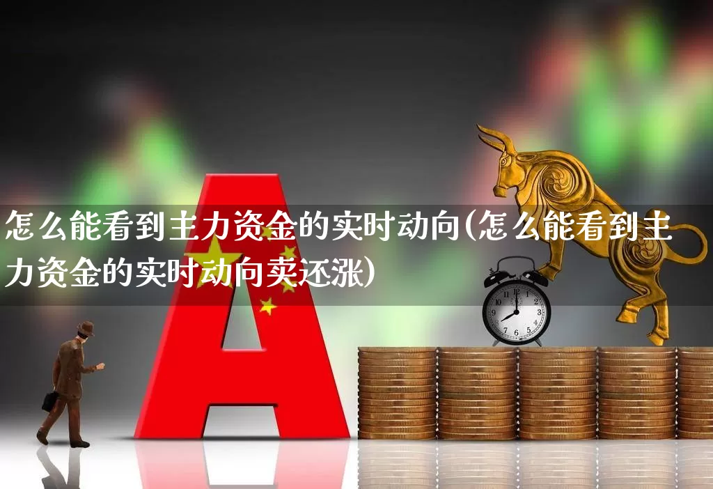 怎么能看到主力资金的实时动向(怎么能看到主力资金的实时动向卖还涨)_https://www.wanyuyiyao.com_深交所_第1张
