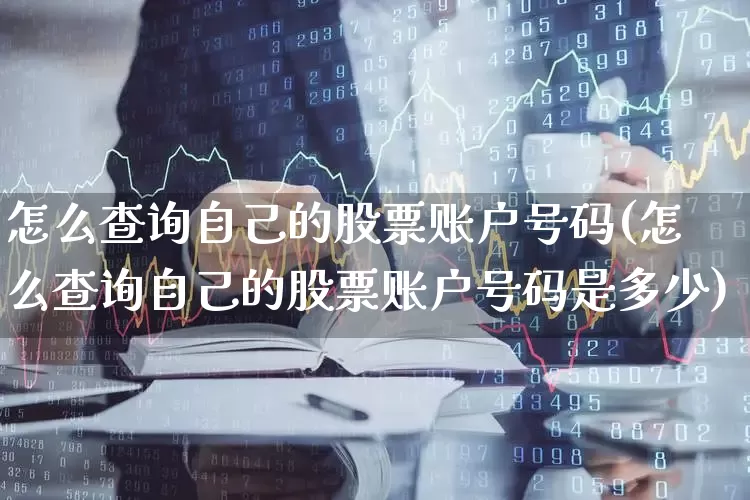 怎么查询自己的股票账户号码(怎么查询自己的股票账户号码是多少)_https://www.wanyuyiyao.com_科创板_第1张
