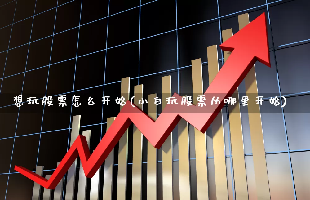 想玩股票怎么开始(小白玩股票从哪里开始)_https://www.wanyuyiyao.com_创业板_第1张