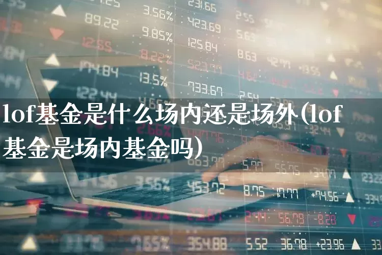 lof基金是什么场内还是场外(lof基金是场内基金吗)_https://www.wanyuyiyao.com_科创板_第1张