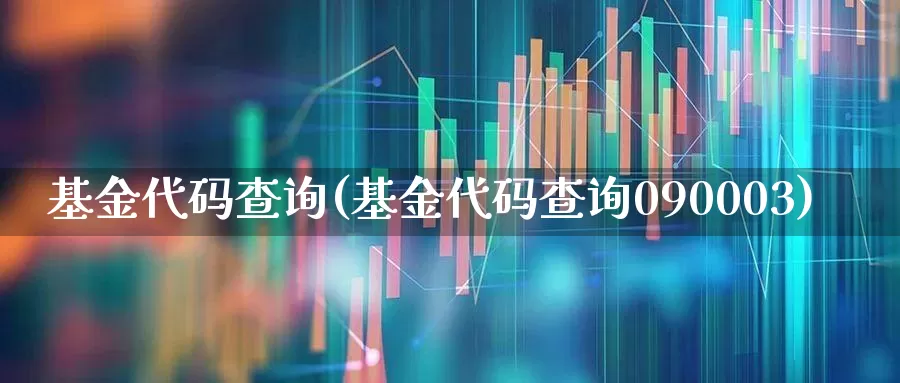 基金代码查询(基金代码查询090003)_https://www.wanyuyiyao.com_上交所_第1张